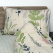 Picture of AKEMI Cotton Essentials Enclave Joy Fitted Sheet Set | 100% Cotton 650TC - Auretta (Super Single/ Queen/ King)