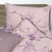 Picture of AKEMI Cotton Essentials Enclave Joy Fitted Sheet Set | 100% Cotton 650TC - Nadia (Super Single/ Queen/ King)