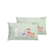 Picture of AKEMI Cotton Twill HeiQ Allergen Cheeky Cheeks Children Pillow Case 850TC (2pc) - Grocery Buddy