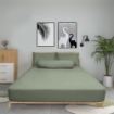 Picture of ai by AKEMI Colourkissed Collection Comforter Set | 100% MicroXT 700TC - Daily Olive (Super Single/Queen/King)