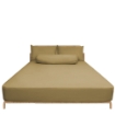Picture of ai by AKEMI Colourkissed Collection Fitted Sheet Set | 100% MicroXT 700TC - Egypt Gold (Super Single/Queen/King)
