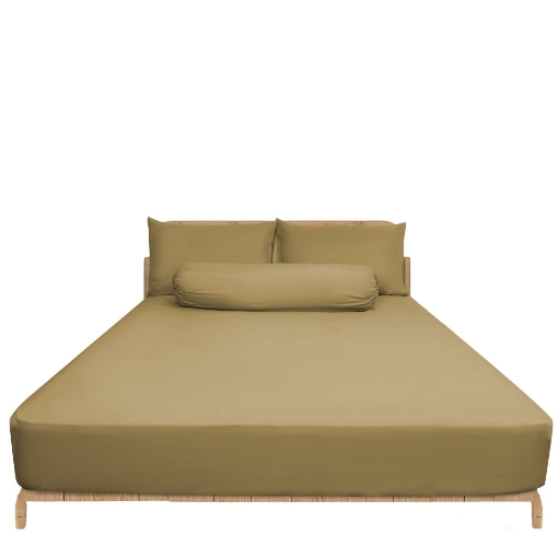 Picture of ai by AKEMI Colourkissed Collection Fitted Sheet Set | 100% MicroXT 700TC - Egypt Gold (Super Single/Queen/King)