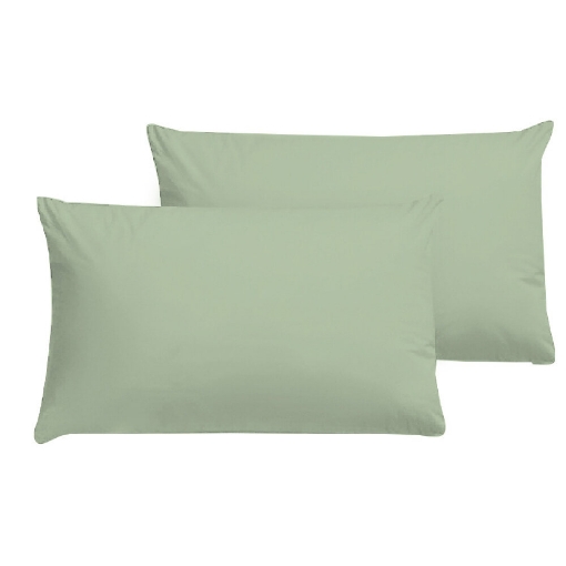 Picture of AKEMI Cotton Essentials Colour Home Divine Pillow Case 600TC - Enton Green (2pc)