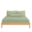 Picture of AKEMI Cotton Essentials Colour Home Divine Fitted Sheet Set 600TC - Enton Green (Super Single/Queen)
