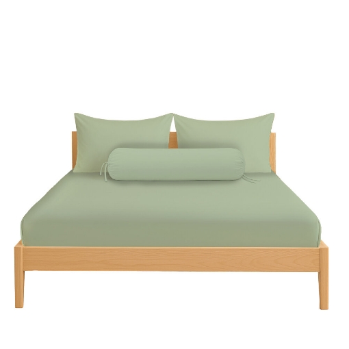 Picture of AKEMI Cotton Essentials Colour Home Divine Fitted Sheet Set 600TC - Enton Green (Super Single/Queen)