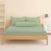 Picture of AKEMI Cotton Essentials Colour Home Divine Fitted Sheet Set 600TC - Enton Green (Super Single/Queen)