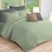 Picture of AKEMI Cotton Essentials Colour Home Divine Fitted Sheet Set 600TC - Enton Green (Super Single/Queen)