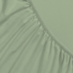 Picture of AKEMI Cotton Essentials Colour Home Divine Fitted Sheet Set 600TC - Enton Green (Super Single/Queen)