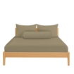 Picture of AKEMI Cotton Essentials Colour Home Divine Fitted Sheet Set 600TC - Friston Brown (Super Single/Queen)