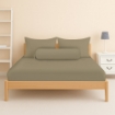 Picture of AKEMI Cotton Essentials Colour Home Divine Fitted Sheet Set 600TC - Friston Brown (Super Single/Queen)