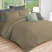 Picture of AKEMI Cotton Essentials Colour Home Divine Fitted Sheet Set 600TC - Friston Brown (Super Single/Queen)