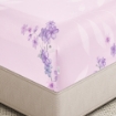 Picture of AKEMI Cotton Twill Adore Quilt Cover Set | 100% Cotton 850TC - Melaine (Super Single/Queen/King)