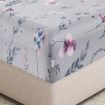 Picture of AKEMI Cotton Twill Adore Quilt Cover Set | 100% Cotton 850TC - Munich (Super Single/Queen/King)