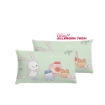 Picture of AKEMI Cotton Twill HeiQ Allergen Cheeky Cheeks Children Pillow Case 850TC (2pc) - Grocery Buddy