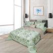 Picture of AKEMI Cotton Essentials Enclave Joy Comforter Set | 100% Cotton 650TC - Alcaniz (Super Single/ Queen/ King)