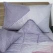 Picture of AKEMI Cotton Essentials Enclave Joy Comforter Set | 100% Cotton 650TC - Vinaros (Super Single/ Queen/ King)