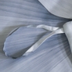 Picture of AKEMI TENCEL™ Lyocell Virtuous Fitted Sheet Set | 1300TC - Estivella (Super Single/Queen/ King)