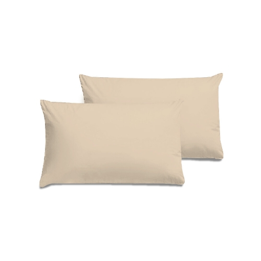 Picture of AKEMI Cotton Essentials Colour Home Divine Pillow Case 600TC - Custard Cream (2pc)