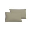 Picture of AKEMI Cotton Essentials Colour Home Divine Pillow Case 600TC - Sunlit Moss (2pc)