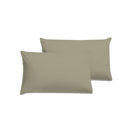 Picture of AKEMI Cotton Essentials Colour Home Divine Pillow Case 600TC - Sunlit Moss (2pc)