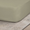 Picture of AKEMI Cotton Essentials Colour Home Divine Fitted Sheet Set 600TC - Sunlit Moss (Super Single/Queen)