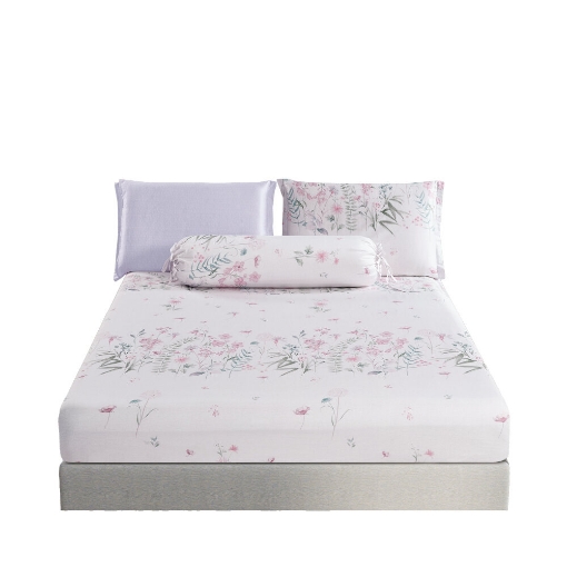 Picture of AKEMI Cotton Sateen Faith Fitted Sheet Set | 100% Cotton 1250TC - Chaya (Super Single / Queen / King)