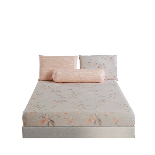 Picture of AKEMI Cotton Twill Adore Fitted Sheet Set | 100% Cotton 850TC - Hilve (Super Single/ Queen/ King)