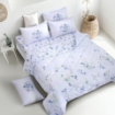 Picture of ai by AKEMI Dreamy Collection Comforter Set | 100% MicroXT 700TC - Aleos (Super Single/Queen/King)