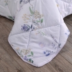 Picture of ai by AKEMI Dreamy Collection Comforter Set | 100% MicroXT 700TC - Aleos (Super Single/Queen/King)