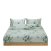 Picture of ai by AKEMI Dreamy Collection Fitted Sheet Set | 100% MicroXT 700TC - Lenim (Super Single/Queen/King)