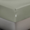 Picture of AKEMI TENCEL™ Touch Colour Elegance Fitted Sheet Set 1250TC - Bush Green (Super Single/ Queen/ King)