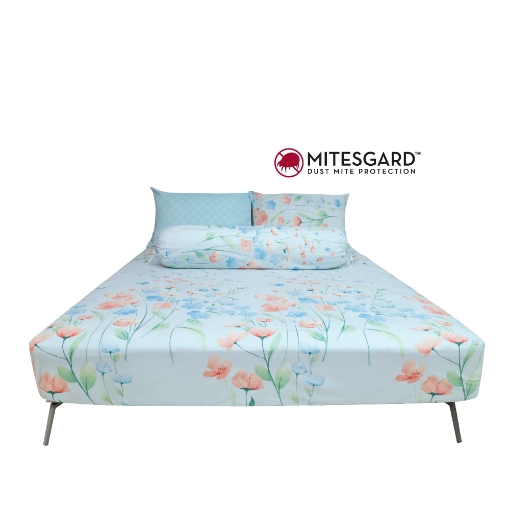 Picture of AKEMI Cotton Essentials Enclave Joy Fitted Sheet Set | 100% Cotton 650TC - Bryndis (Super Single/ Queen/ King)