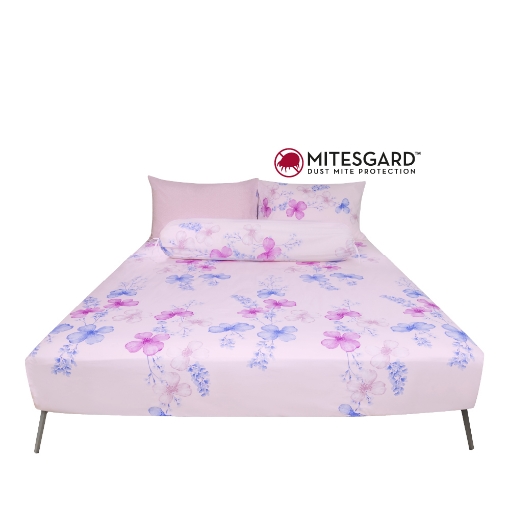 Picture of AKEMI Cotton Essentials Enclave Joy Fitted Sheet Set | 100% Cotton 650TC - Chandry (Super Single/ Queen/ King)