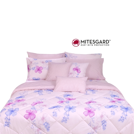 Picture of AKEMI Cotton Essentials Enclave Joy Comforter Set | 100% Cotton 650TC - Chandry (Super Single/ Queen/ King)