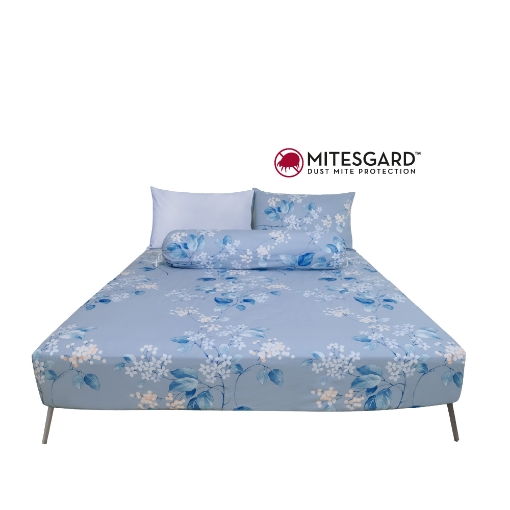 Picture of AKEMI Cotton Essentials Enclave Joy Fitted Sheet Set | 100% Cotton 650TC - Eyre (Super Single/ Queen/ King)