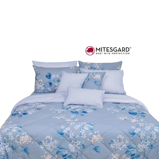 Picture of AKEMI Cotton Essentials Enclave Joy Comforter Set | 100% Cotton 650TC - Eyre (Super Single/ Queen/ King)