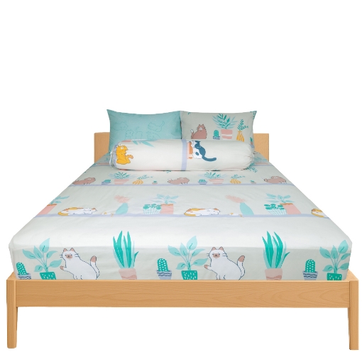 Picture of AKEMI Cotton Essentials Jovial Kids Fitted Sheet Set 600TC - Cats On Shelf (Super Single/ Queen/ King)