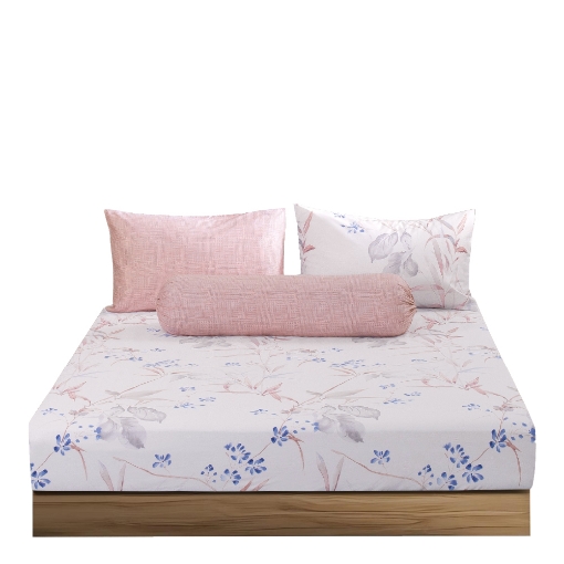 Picture of AKEMI Cotton Twill Adore Fitted Sheet Set | 100% Cotton 850TC - Giana (Super Single/ Queen/ King)