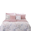 Picture of AKEMI Cotton Twill Adore Lightweight Comforter Set 850TC - Giana (Queen/ King)