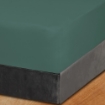 Picture of AKEMI Cotton Essentials Colour Home Divine Fitted Sheet Set 600TC - Coastal Teal (Super Single/Queen)