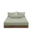 Picture of ai by AKEMI Colourkissed Collection Fitted Sheet Set | 100% MicroXT 700TC - Calm Pistachio (Super Single/Queen/King)