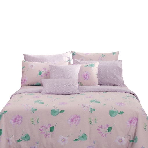 Picture of AKEMI Cotton Twill Adore Lightweight Comforter Set 850TC - Ondina (Queen/ King)