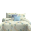 Picture of ai by AKEMI Cheery Collection Comforter Set 650TC (Super Single/Queen/King) - Seija
