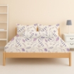 Picture of ai by AKEMI Cheery Collection Fitted Sheet Set 650TC (Super Single/Queen/King) - Aimone