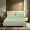 Picture of AKEMI TENCEL™ Lyocell Earnest Fitted Sheet Set 1200TC - Gisela Geladon Green (Super Single/ Queen/ King)
