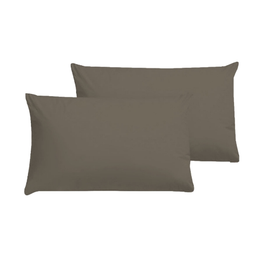 Picture of AKEMI Cotton Essentials Colour Home Divine Pillow Case 600TC - Float Brown (2pc)