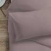Picture of AKEMI Cotton Essentials Colour Home Divine Pillow Case 600TC - Icy Violet (2pc)