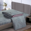 Picture of AKEMI Cotton Twill Adore Lightweight Comforter Set 850TC - Jaimes (Queen/ King)
