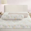 Picture of AKEMI Cotton Twill Adore Lightweight Comforter Set 850TC - Lettie (Queen/ King)