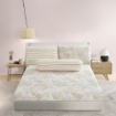 Picture of AKEMI Cotton Twill Adore Fitted Sheet Set | 100% Cotton 850TC - Lettie (Super Single/ Queen/ King)